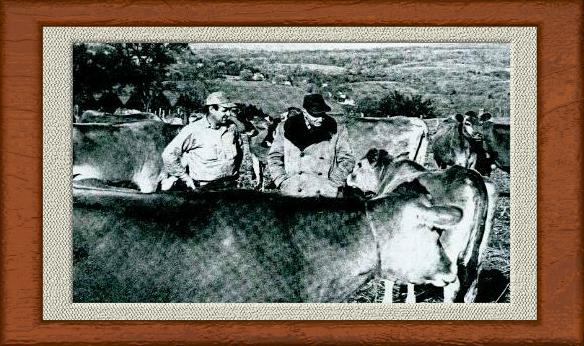 Dr. Jarvis visiting a cow farm in Vermont